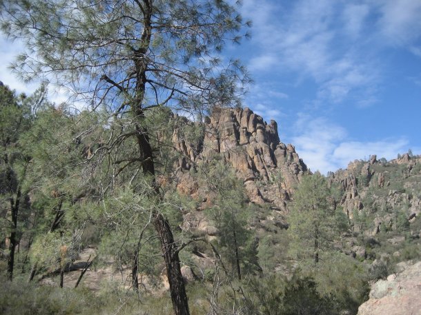 condor-gulch-trail-pinnacles