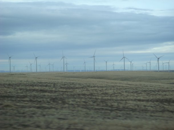 wind-farm