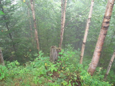 Japan-Airlines-Flight-123-crash