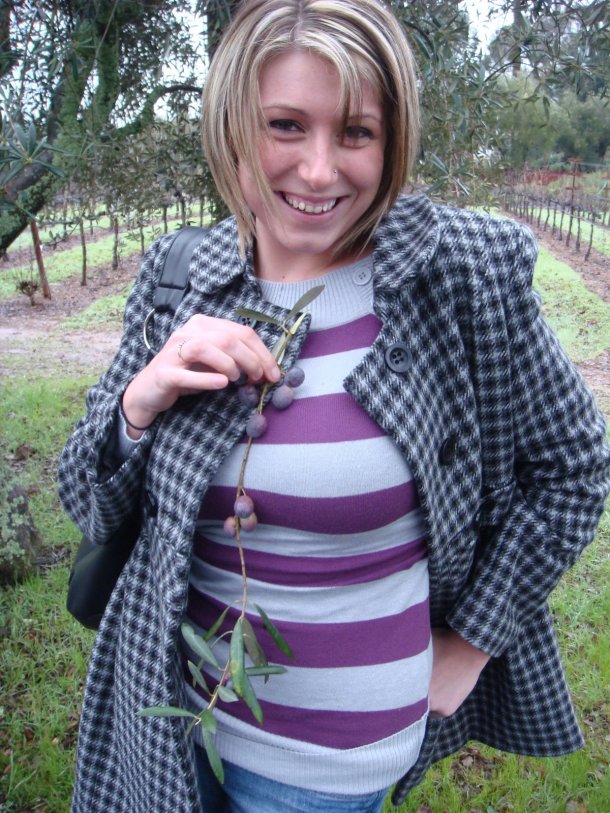 napa-valley-route-128-road-trip