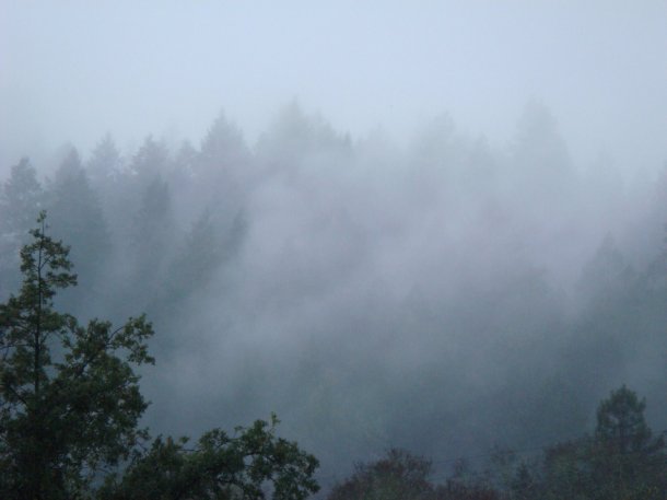 napa-valley-route-128-road-trip