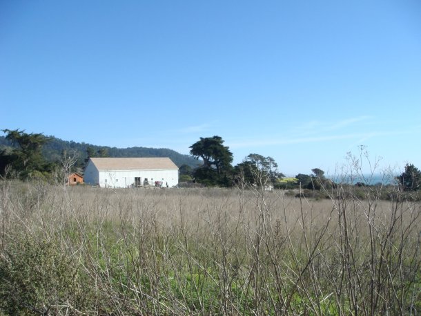 Ano-Nuevo-State-Park