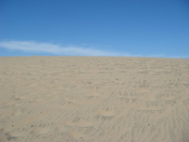 Ano-Nuevo-State-Park