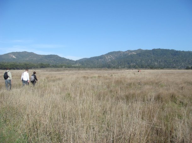 Ano-Nuevo-State-Park