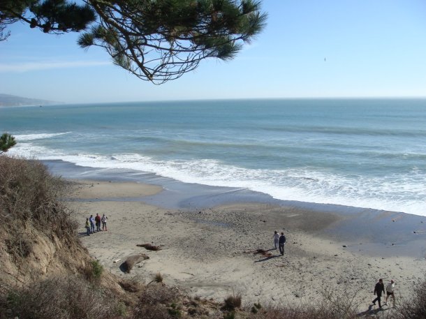 Ano-Nuevo-State-Park