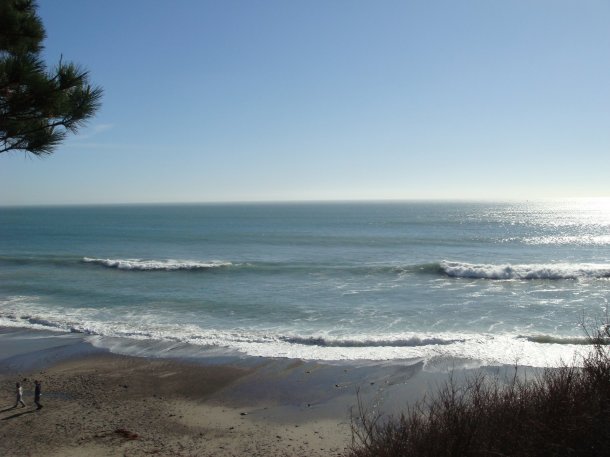 Ano-Nuevo-State-Park