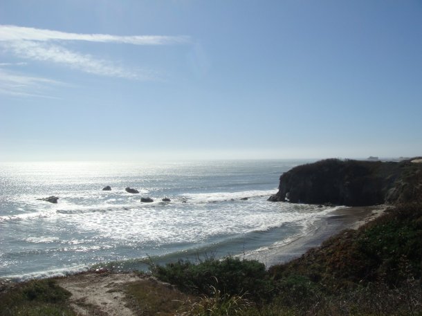 Ano-Nuevo-State-Park
