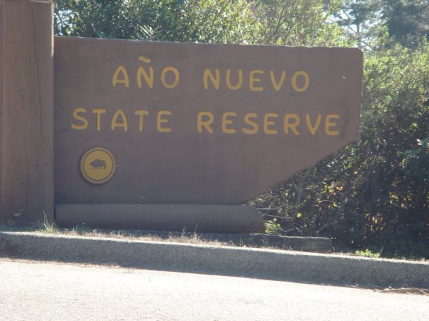 ano-nuevo-state-reserve