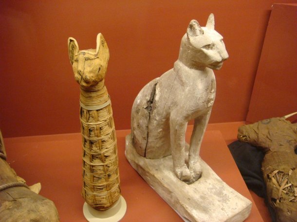 Rosicrucian-Museum-mummified-cats