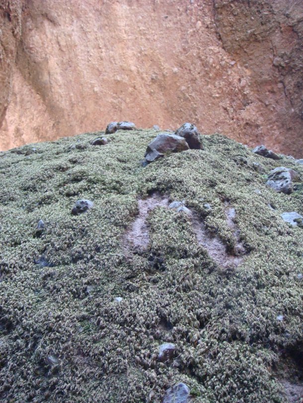 balconies-caves-pinnacles-national-park