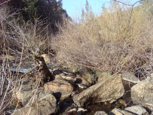 confluence-dry-creek