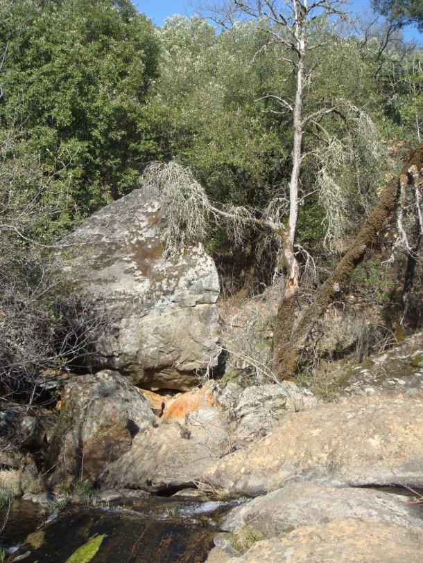 dry-creek-watershed-yuba-county