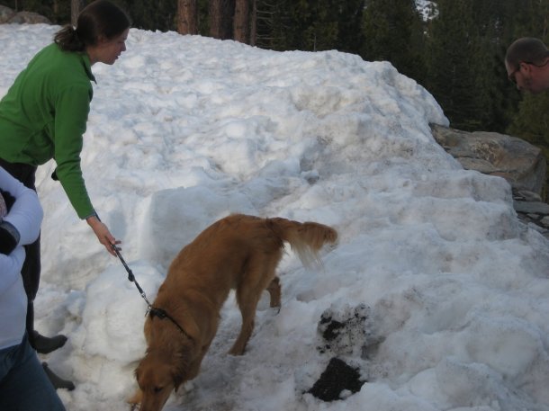 highway-49-road-trip