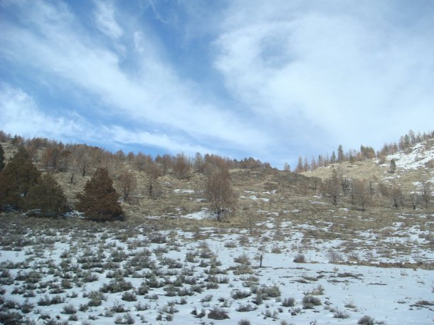 highway-49-road-trip