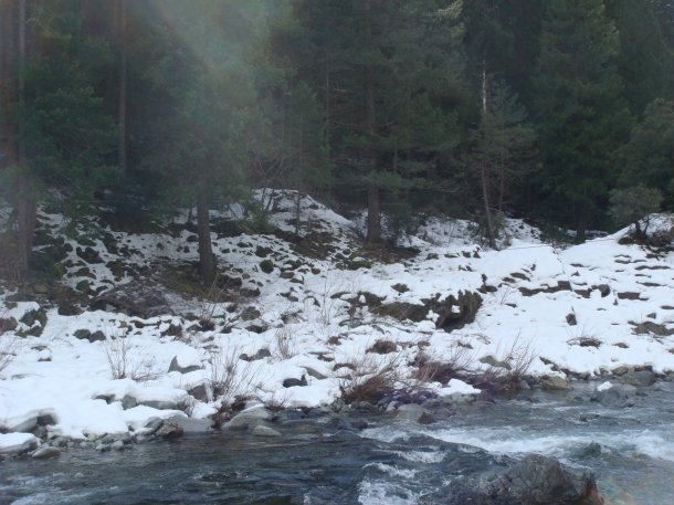 highway-49-road-trip