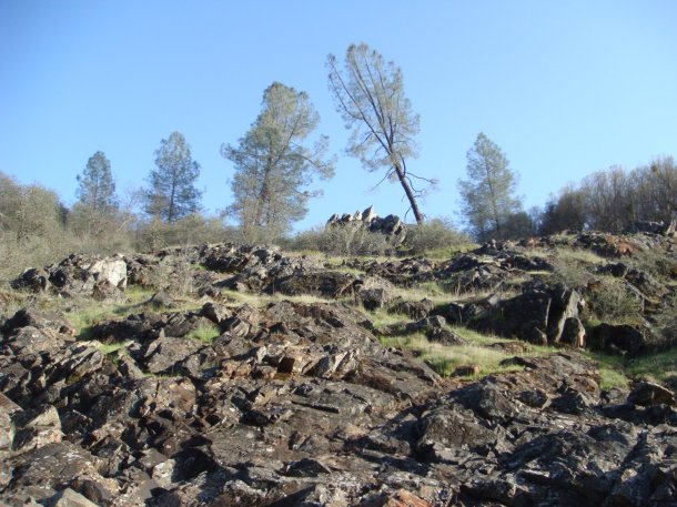 oregon-house-california