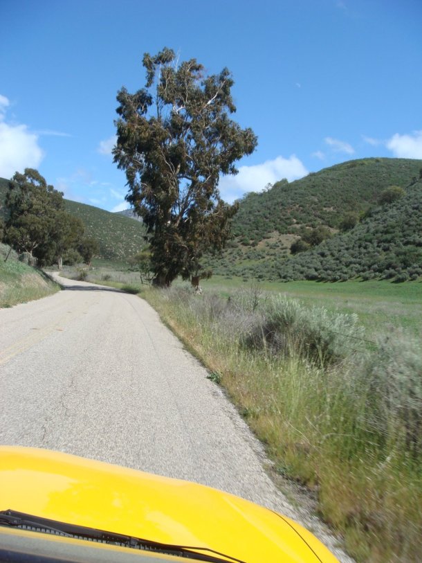 pinnacles-national-park