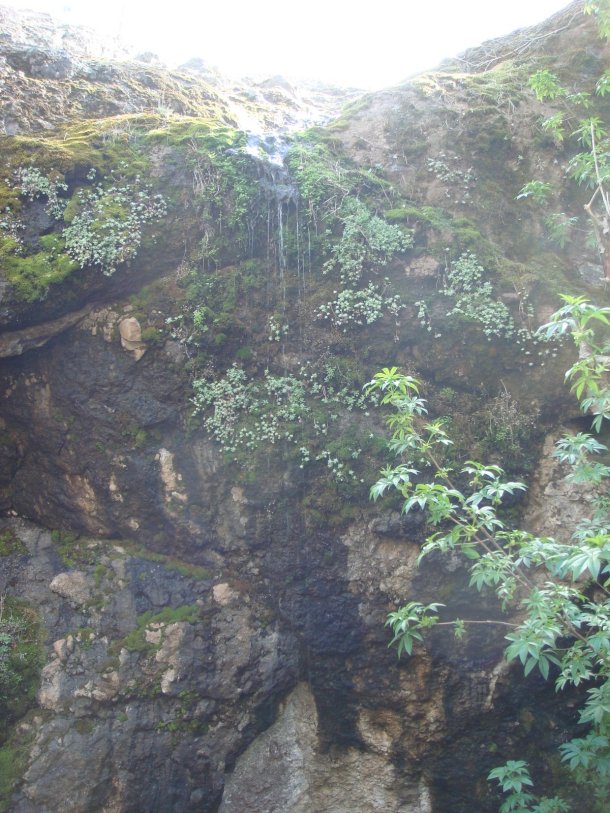 pinnacles-national-park
