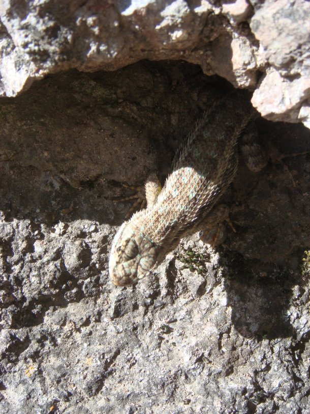 pinnacles-national-park