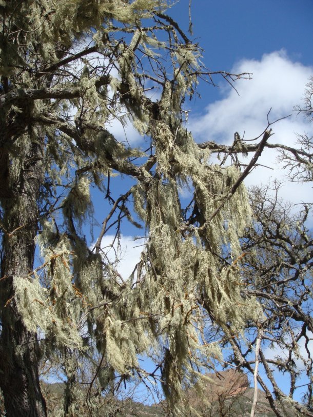 pinnacles-national-park