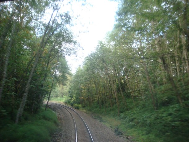 cascade-mountains-washington-from-train