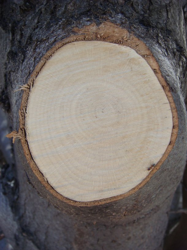 highway-70-road-trip-up-feather-river-canyon