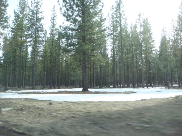 highway-89-california