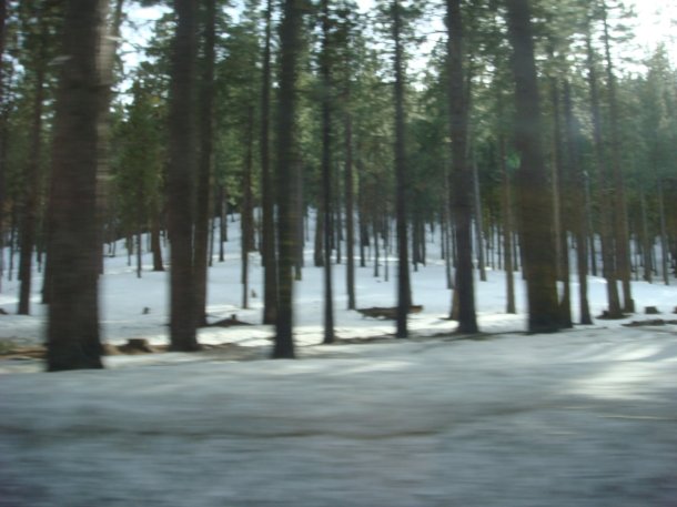 highway-89-california