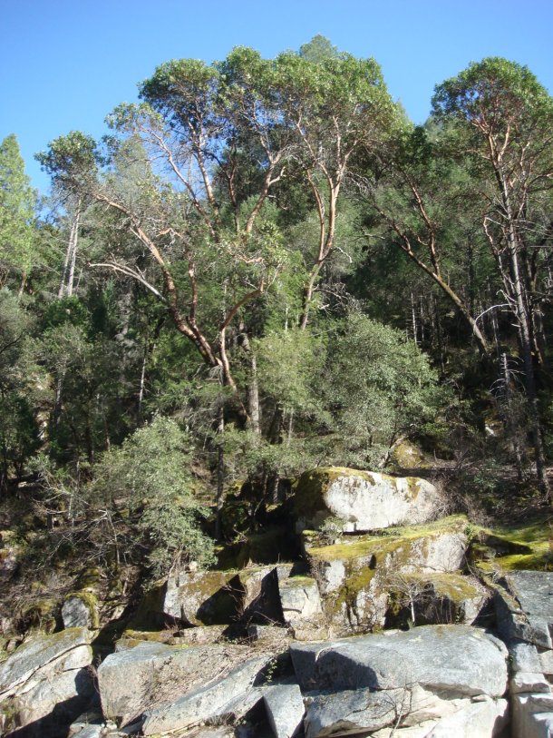 middle-fork-yuba-river