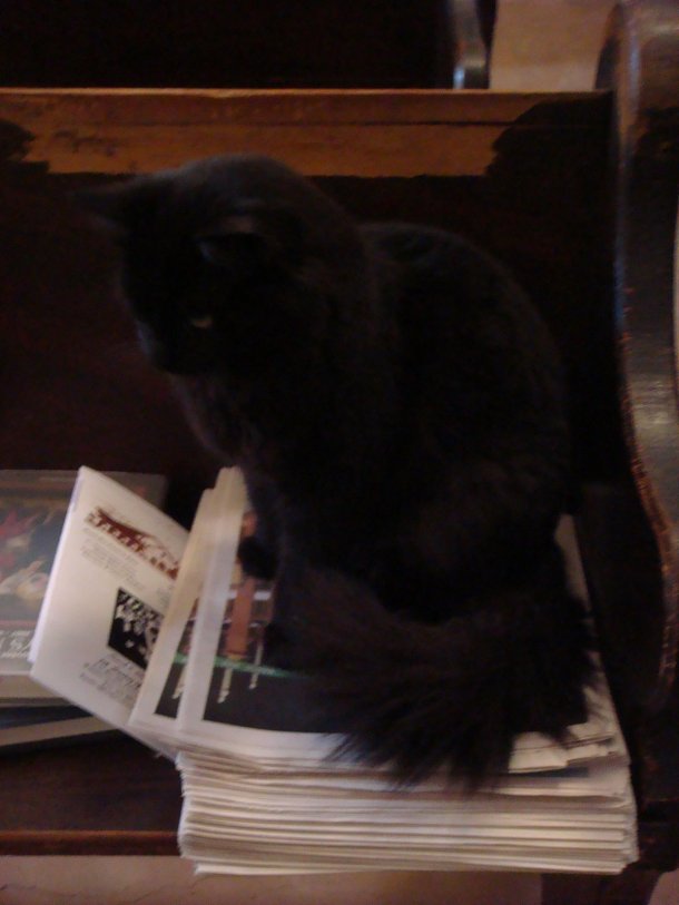 Mission-San-Antonio-de-Padua 