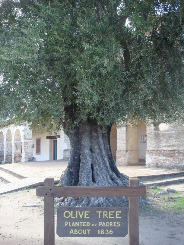 Mission-San-Antonio-de-Padua