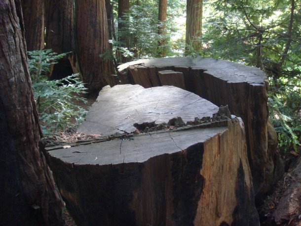 valley-view-Pfeiffer-Big-Sur-State-Park