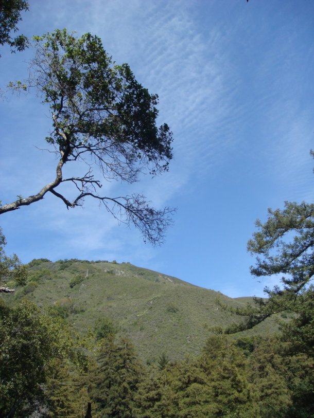 valley-view-Pfeiffer-Big-Sur-State-Park