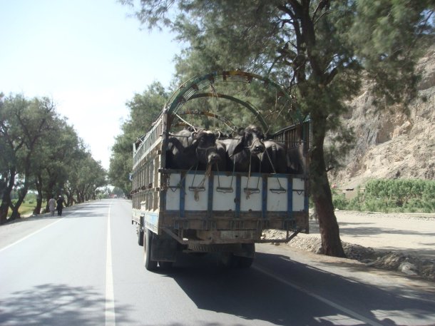 a1-jalalabad-torkham-highway