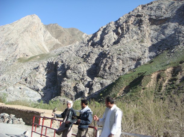 afghan man with falcon
