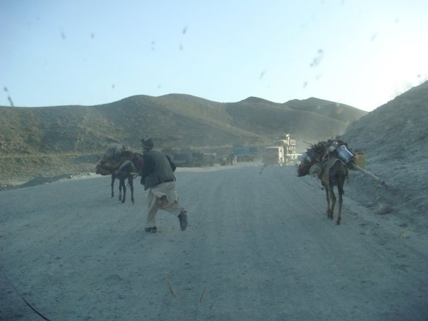 man-with-donkeys-afghanistan