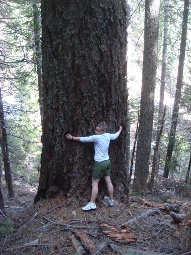 tree-hugger