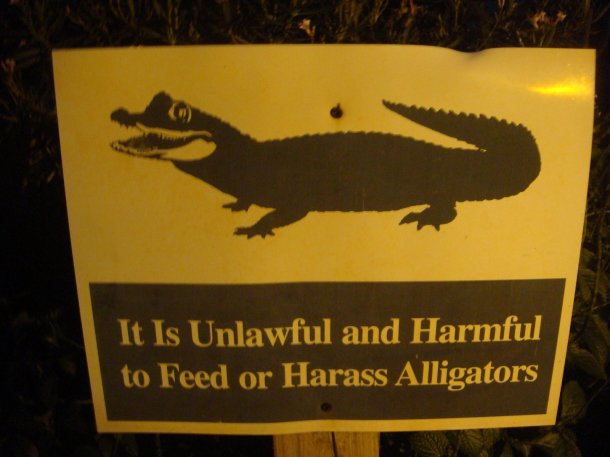 alligator-sign