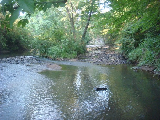 river-bottoms-atlanta