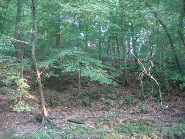 river-bottoms-atlanta