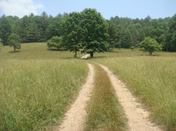 attractive-southern-landscape