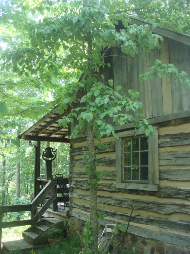cabin-in-southern-woods