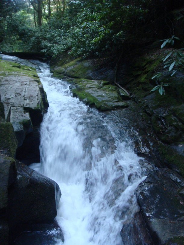 Chattahoochee-National-Forest