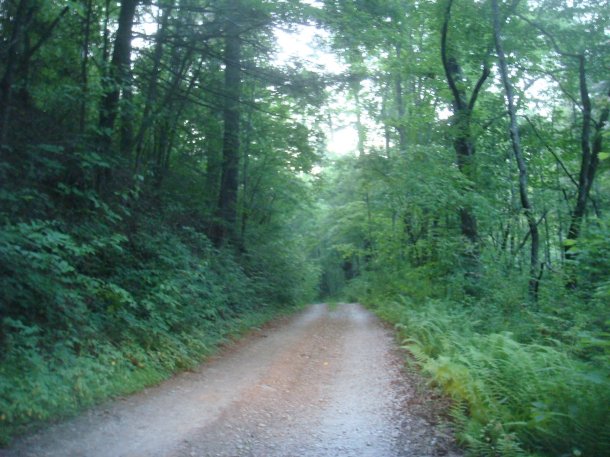 Chattahoochee-National-Forest