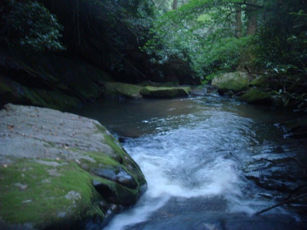 Chattahoochee-National-Forest