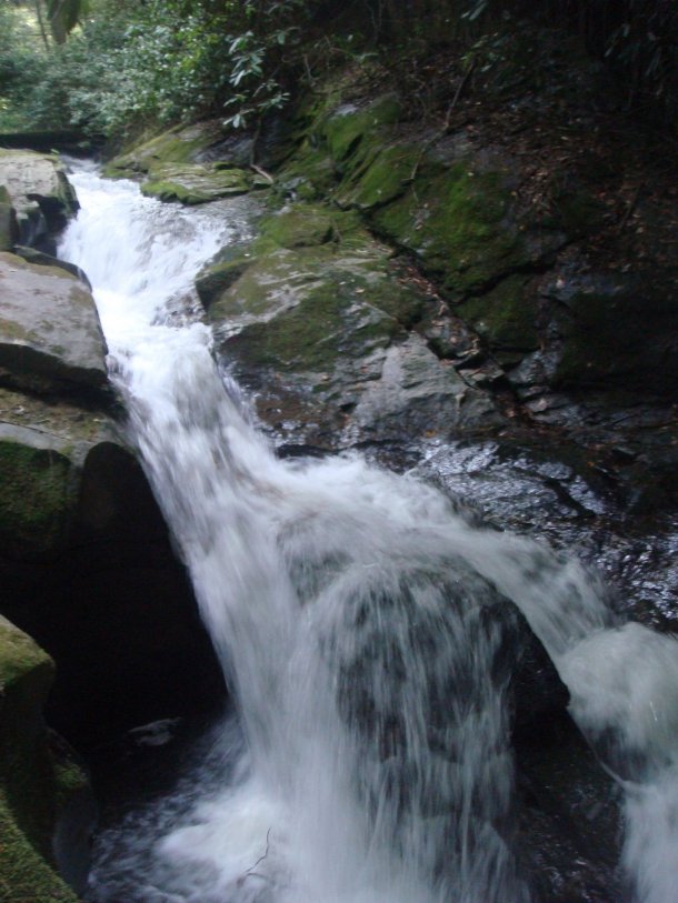 Chattahoochee-National-Forest