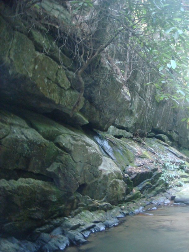 Chattahoochee-National-Forest