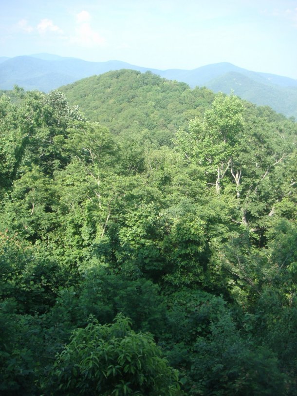 countryside-of-the-south