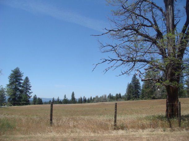 lake-city-california