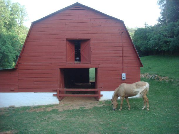 landscapes-of-the-south